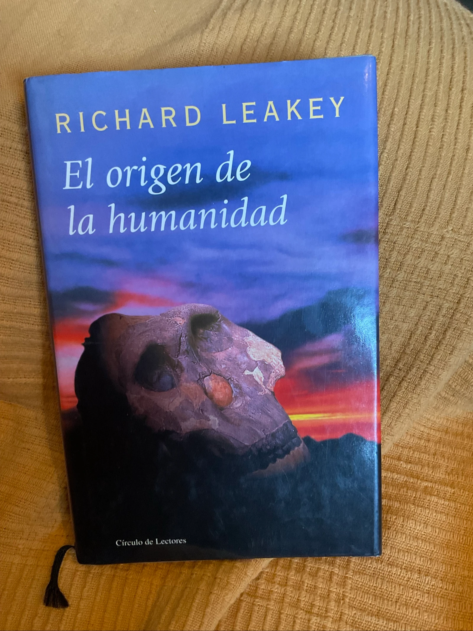 O origem da humanidade – photo 5